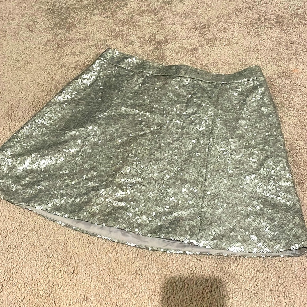 Sequin skirt , zips in the back
